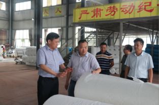 肖立新深入桃江縣環宇紡織新材料科技走訪調研，共謀紡織科技研究服務新篇章